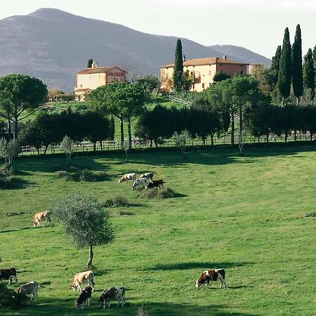 Poggiovalle Tenuta Italiana Belvedere  Exteriér fotografie