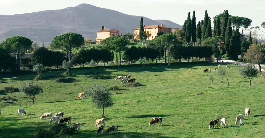 Poggiovalle Tenuta Italiana Belvedere  Exteriér fotografie